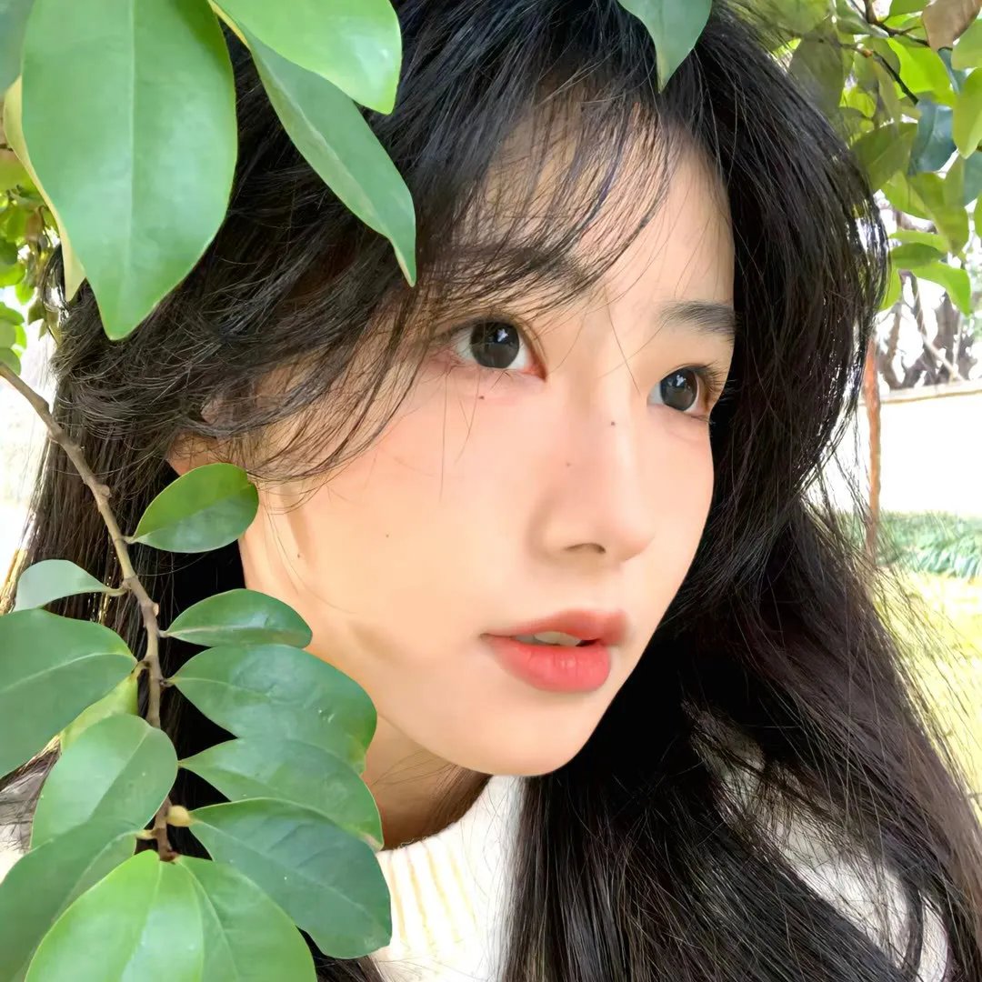 闪光的乐队