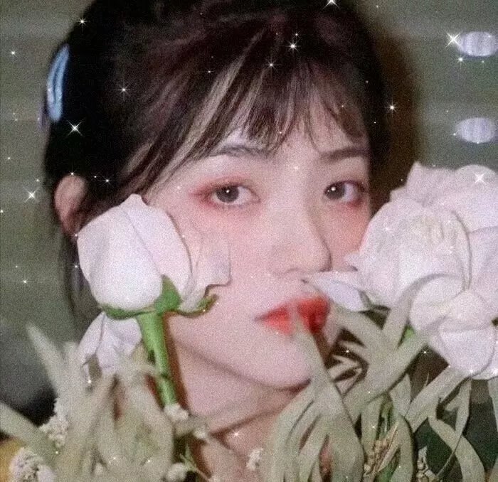 血夜花